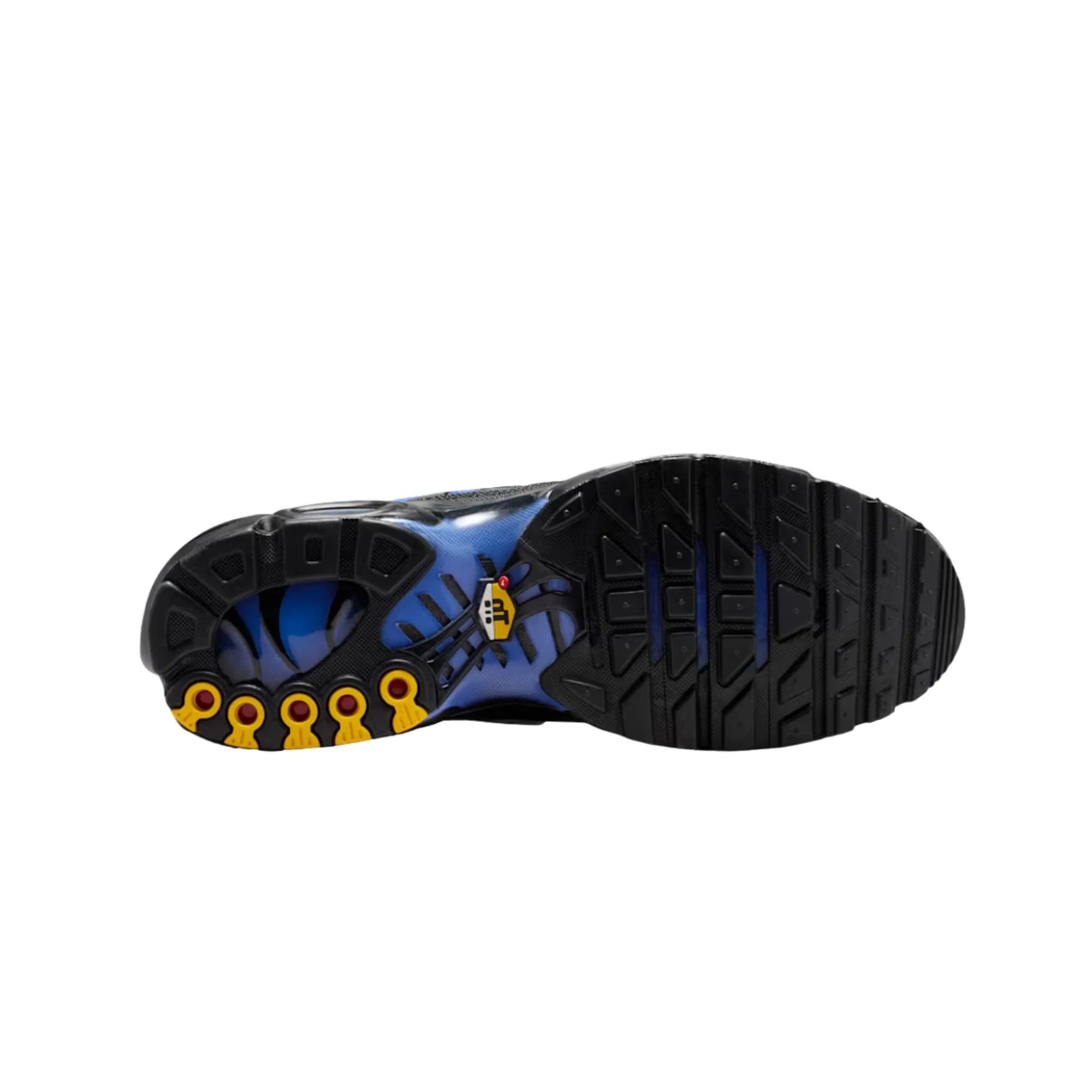 59.58